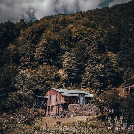 Korsha Guesthouse Roshka Екстериор снимка