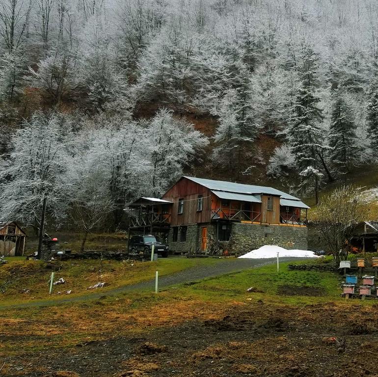 Korsha Guesthouse Roshka Екстериор снимка